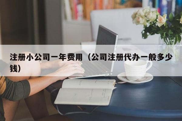 注册小公司一年费用（公司注册代办一般多少钱）