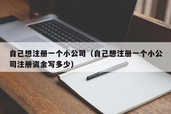 自己想注册一个小公司（自己想注册一个小公司注册资金写多少）