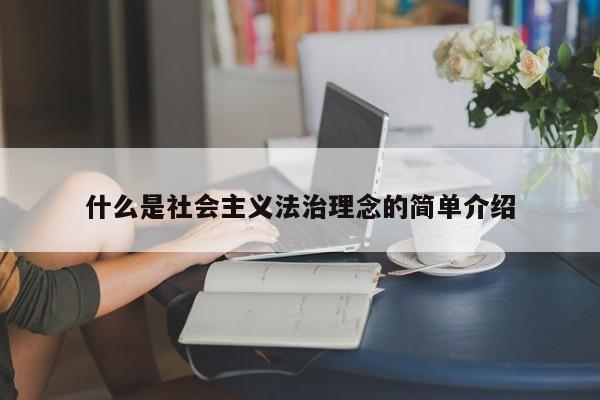 什么是社会主义法治理念的简单介绍