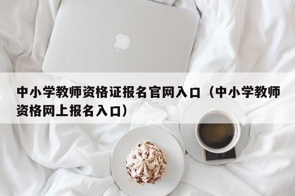 中小学教师资格证报名官网入口（中小学教师资格网上报名入口）