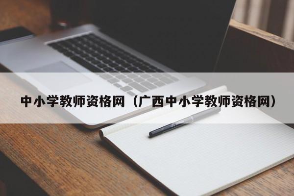 中小学教师资格网（广西中小学教师资格网）