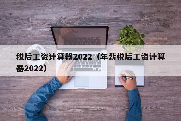 税后工资计算器2022（年薪税后工资计算器2022）