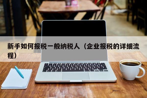 新手如何报税一般纳税人（企业报税的详细流程）