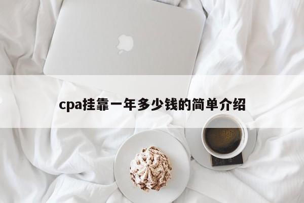 cpa挂靠一年多少钱的简单介绍