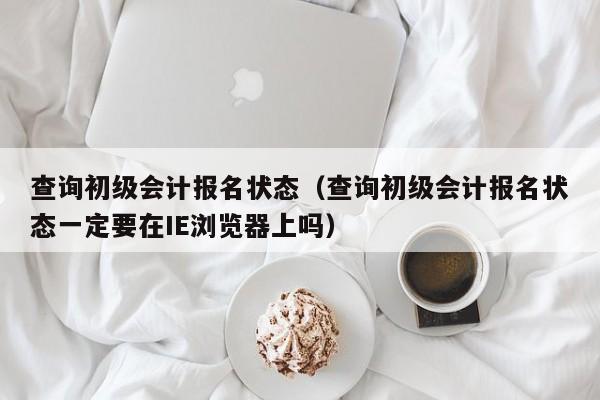 查询初级会计报名状态（查询初级会计报名状态一定要在IE浏览器上吗）