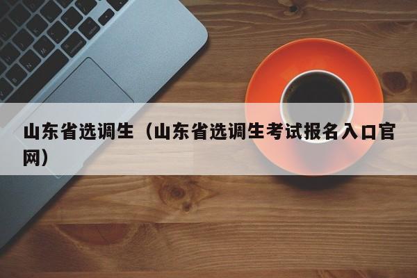 山东省选调生（山东省选调生考试报名入口官网）