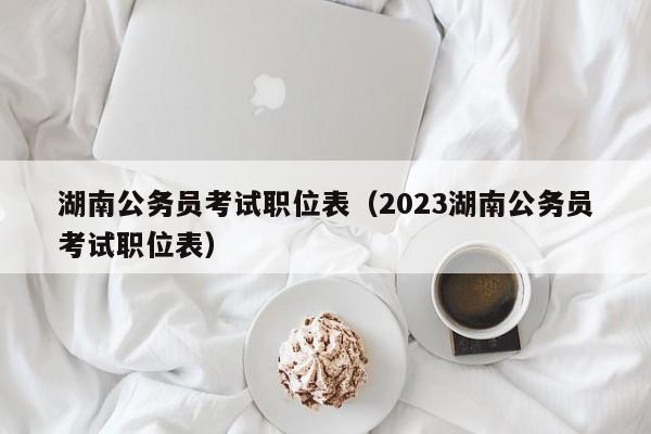 湖南公务员考试职位表（2023湖南公务员考试职位表）