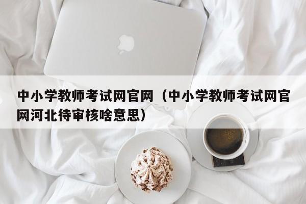 中小学教师考试网官网（中小学教师考试网官网河北待审核啥意思）