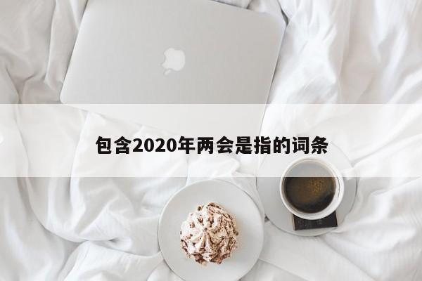 包含2020年两会是指的词条