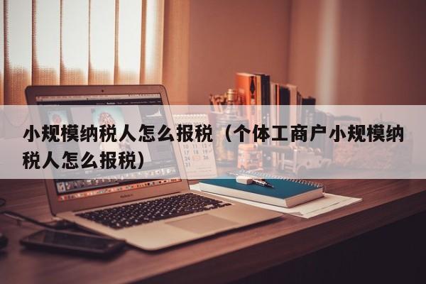 小规模纳税人怎么报税（个体工商户小规模纳税人怎么报税）