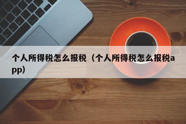 个人所得税怎么报税（个人所得税怎么报税app）