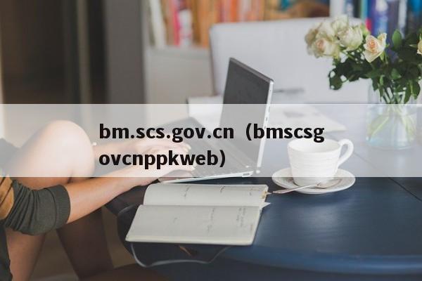 bm.scs.gov.cn（bmscsgovcnppkweb）