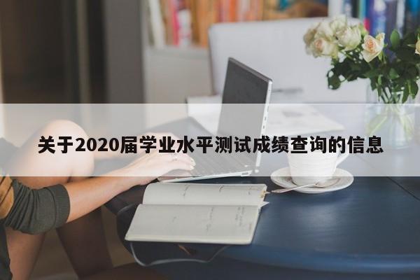 关于2020届学业水平测试成绩查询的信息