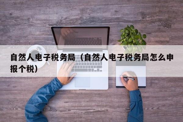 自然人电子税务局（自然人电子税务局怎么申报个税）