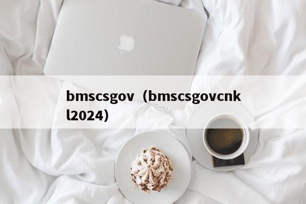 bmscsgov（bmscsgovcnkl2024）