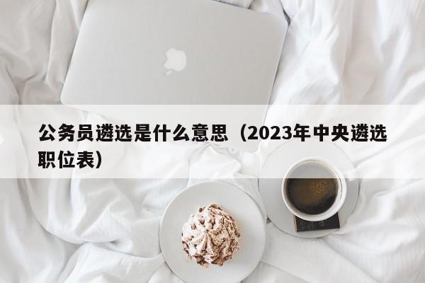 公务员遴选是什么意思（2023年中央遴选职位表）