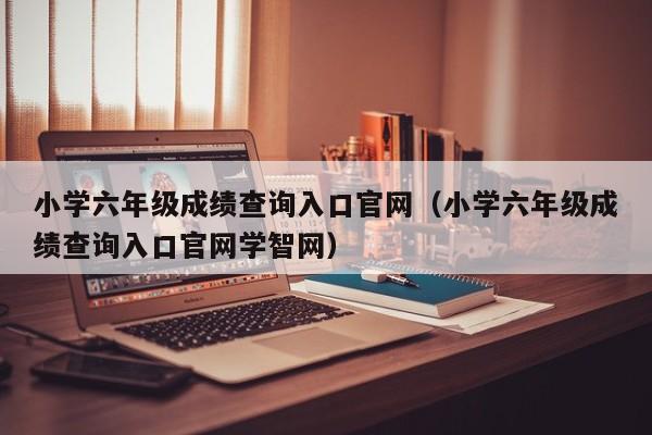 小学六年级成绩查询入口官网（小学六年级成绩查询入口官网学智网）