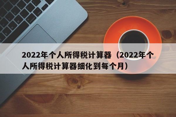 2022年个人所得税计算器（2022年个人所得税计算器细化到每个月）