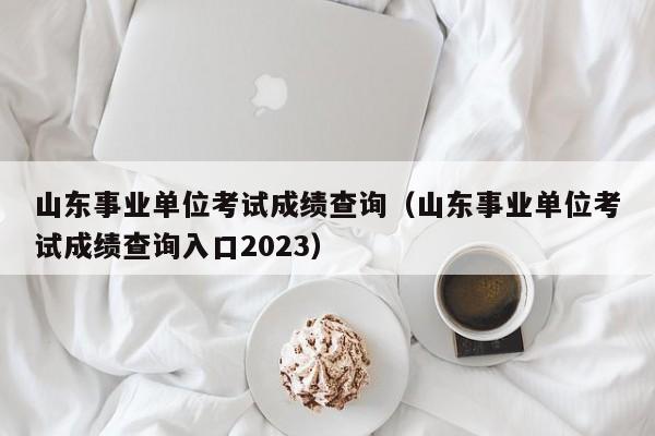 山东事业单位考试成绩查询（山东事业单位考试成绩查询入口2023）