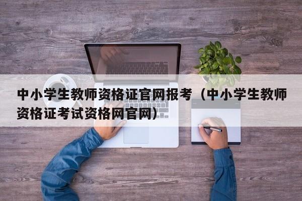 中小学生教师资格证官网报考（中小学生教师资格证考试资格网官网）