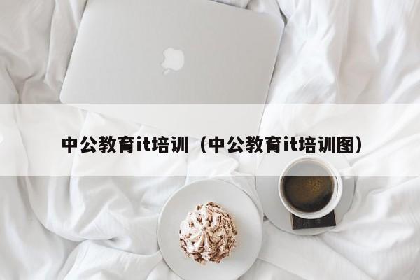 中公教育it培训（中公教育it培训图）