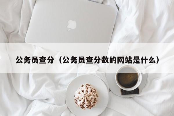 公务员查分（公务员查分数的网站是什么）