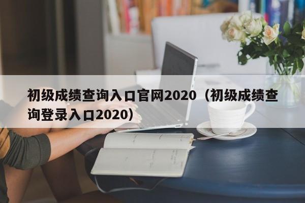 初级成绩查询入口官网2020（初级成绩查询登录入口2020）