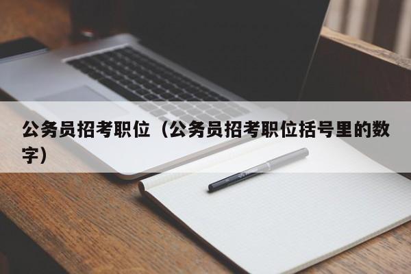 公务员招考职位（公务员招考职位括号里的数字）