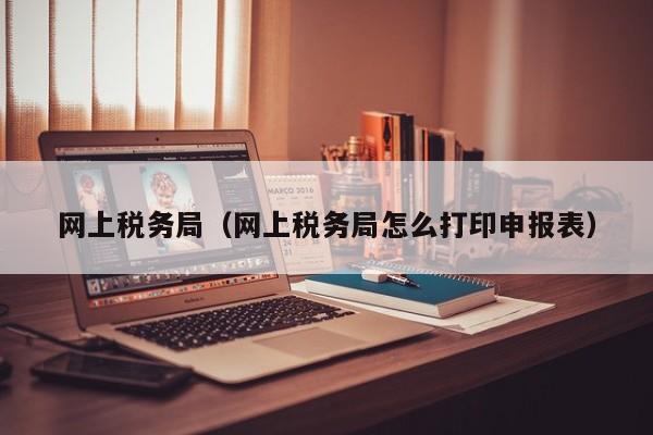 网上税务局（网上税务局怎么打印申报表）