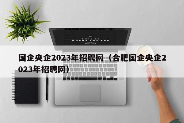 国企央企2023年招聘网（合肥国企央企2023年招聘网）