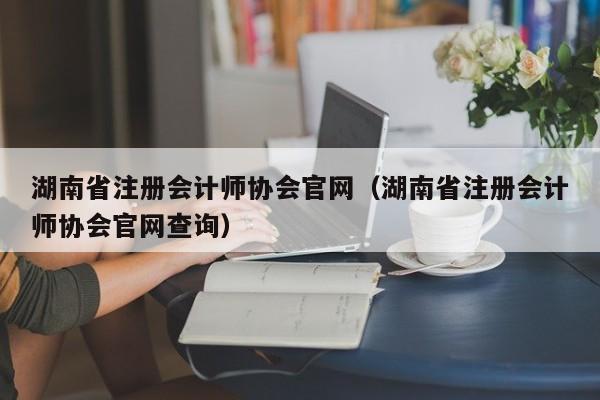 湖南省注册会计师协会官网（湖南省注册会计师协会官网查询）