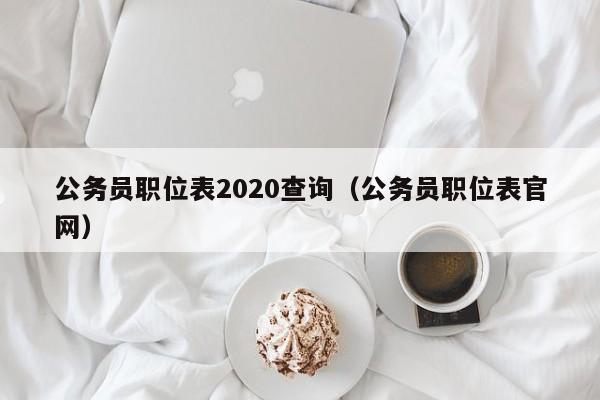 公务员职位表2020查询（公务员职位表官网）