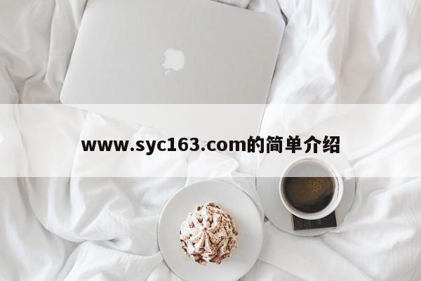 www.syc163.com的简单介绍