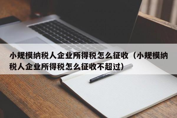 小规模纳税人企业所得税怎么征收（小规模纳税人企业所得税怎么征收不超过）