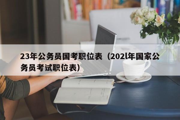 23年公务员国考职位表（202l年国家公务员考试职位表）